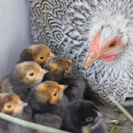 Schoene 90qm Mit Sonnenterrasse Und Aussicht * Trevír