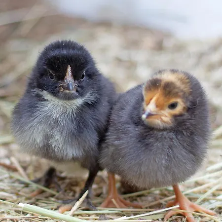 Schoene 90qm Mit Sonnenterrasse Und Aussicht Apartmán Trevír