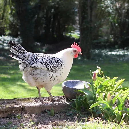Schoene 90qm Mit Sonnenterrasse Und Aussicht * Trier