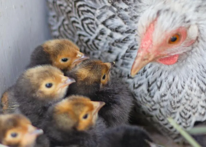 Schoene 90qm Mit Sonnenterrasse Und Aussicht * Trier