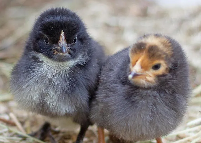 Schoene 90qm Mit Sonnenterrasse Und Aussicht Apartamento Trier