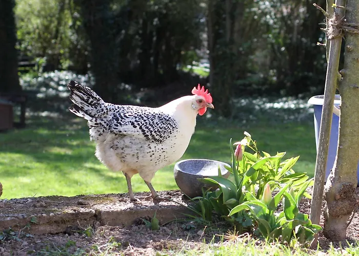 Schoene 90qm Mit Sonnenterrasse Und Aussicht * Trèves